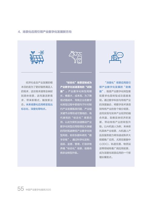 国家信息中心 京东数科 2020中国产业数字化报告 